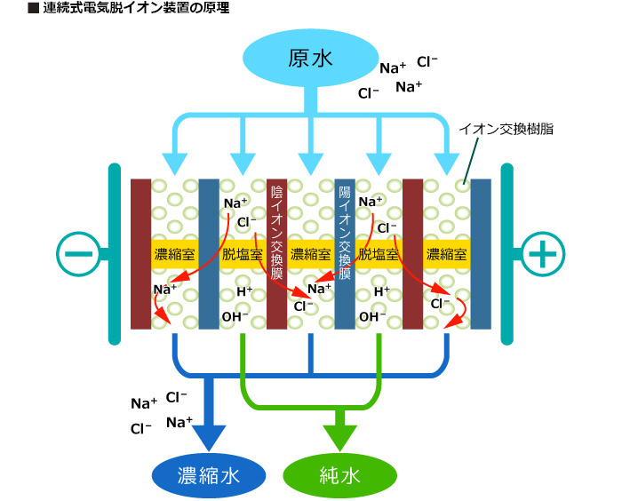 連続式電気脱イオン装置の原理