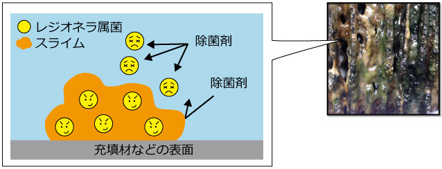 従来の除菌剤がスライム内部に浸透しない