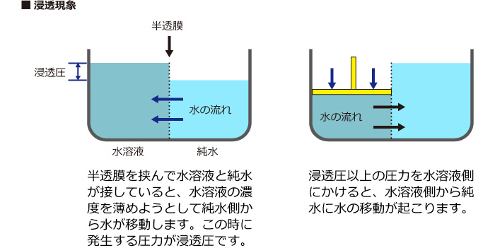 浸透現象と逆浸透現象