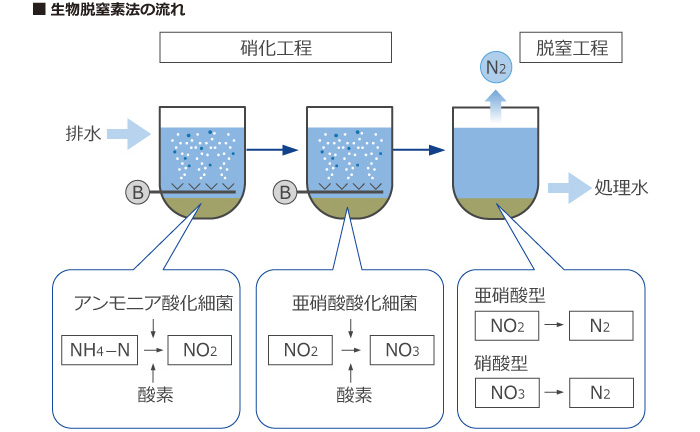 生物脱窒法の流れ