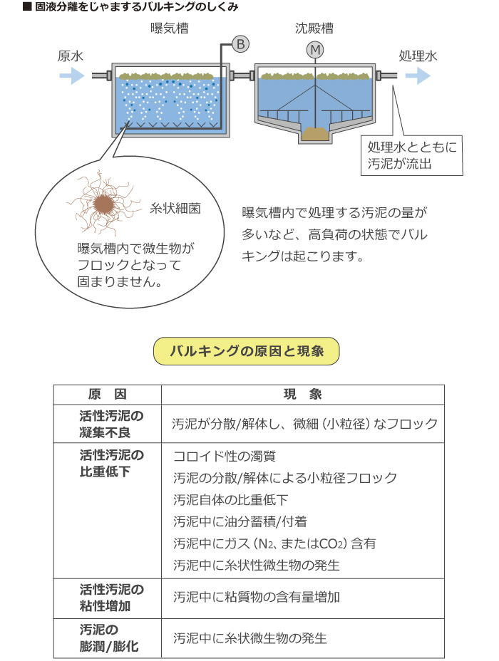 バルキングのしくみと原因