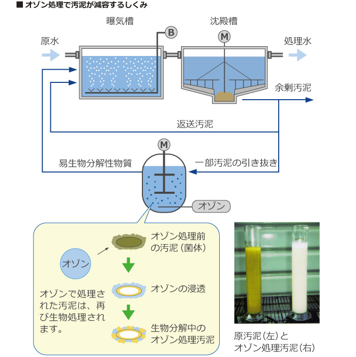 オゾン処理で汚泥が減溶するしくみ