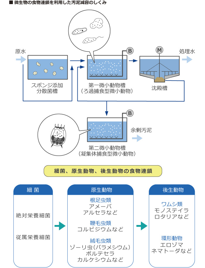 食物連鎖を利用した汚泥減溶