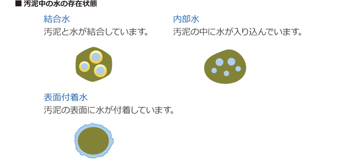 汚泥中の水の存在状態