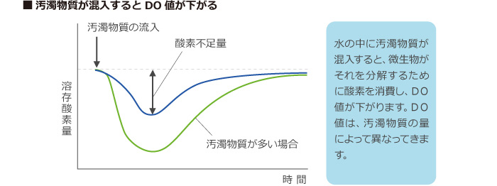 汚濁物質とDOの関係